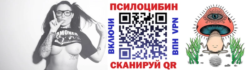 блэк спрут tor  Сальск  Псилоцибиновые грибы Magic Shrooms 